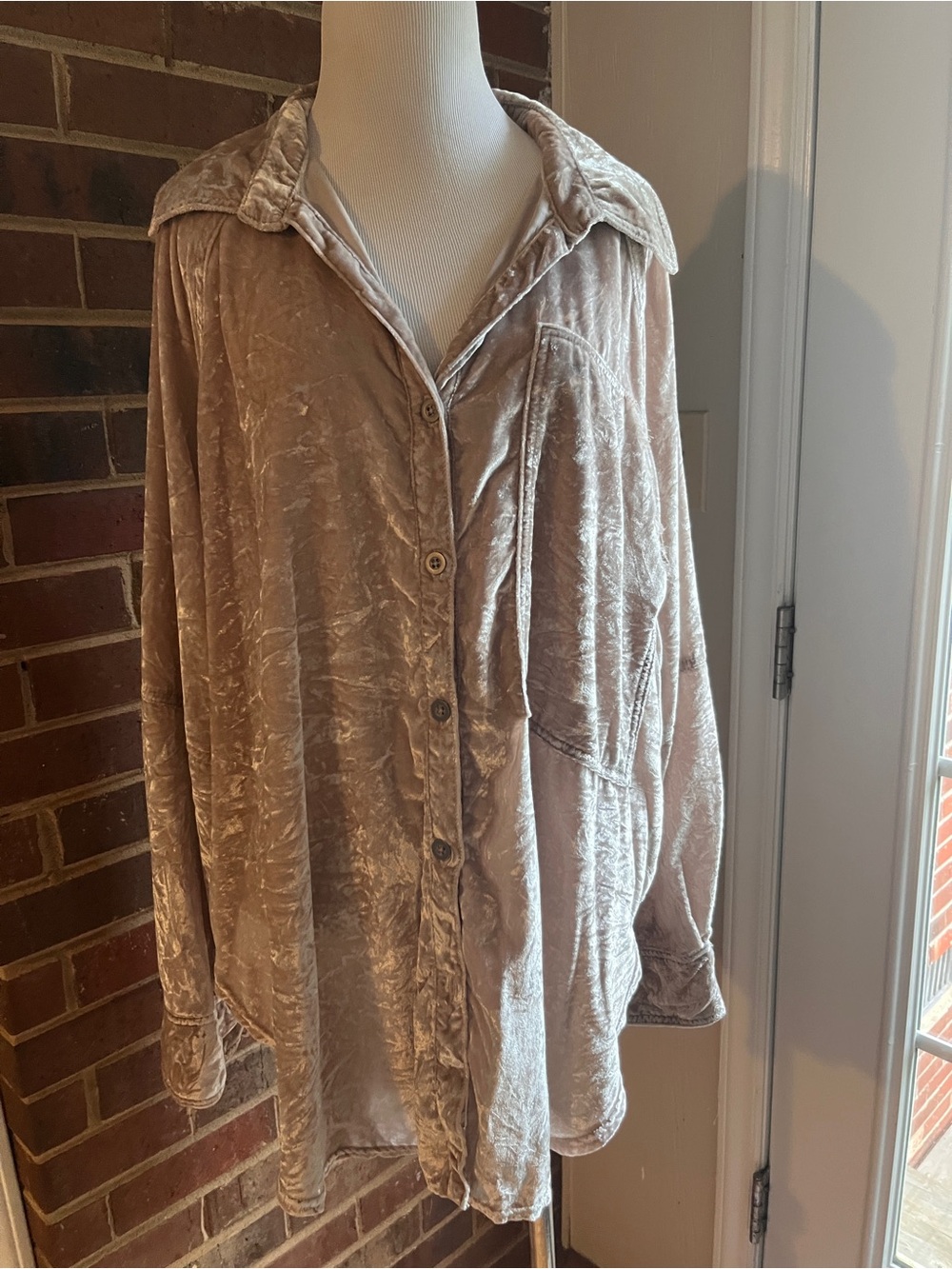 We The Free Crushed Velvet Button-Down Shirt - Blush